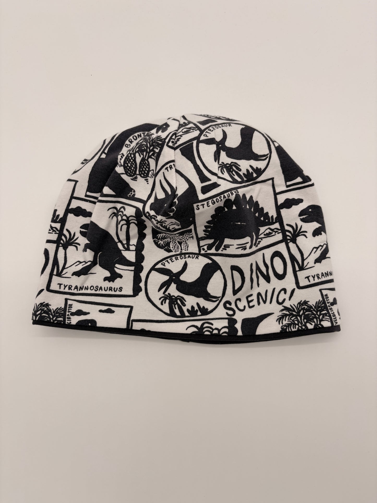 Mütze und Loop Dino Grau